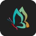 秀秀壁纸小助手下载  v1.0.0