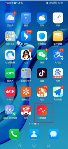 Сapp19