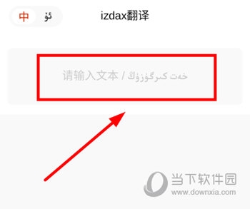 izdax翻译