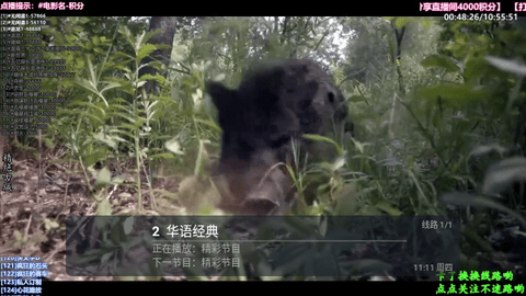 电影TV2024最新版
