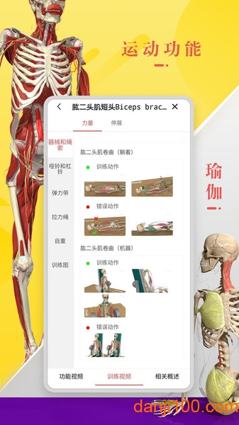 3Dbody解剖学软件