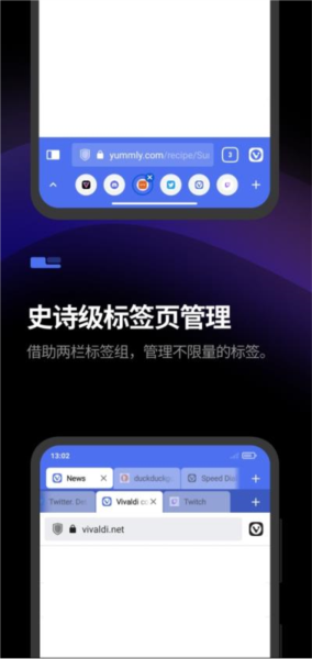 vivaldi浏览器图片1