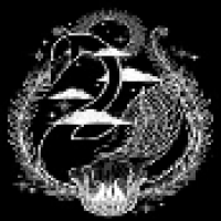 天鹅影视免费追剧