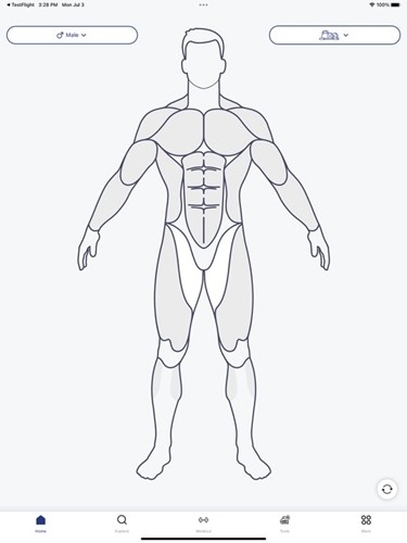 musclewiki官方版图片7