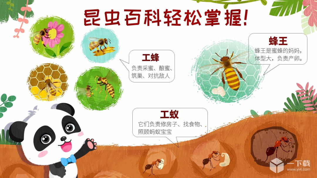 奇妙昆虫世界 v9.93.00.00最新版