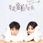半是甜蜜半是伤电视剧全集在线观看