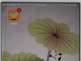 親寶寶APP