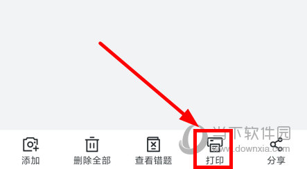 蜜蜂试卷