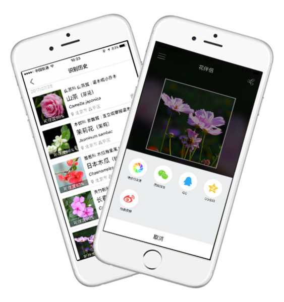 花伴侣app1