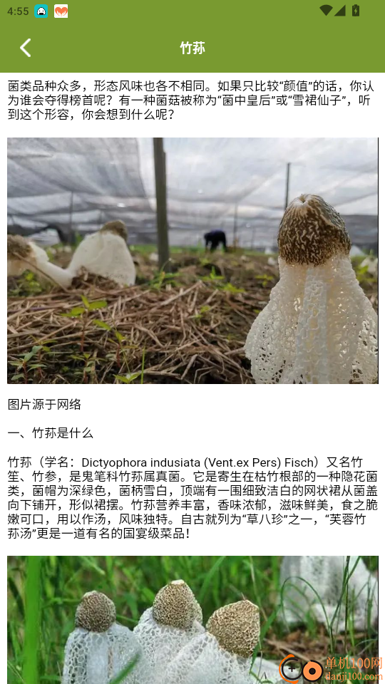 蘑菇识别官方版