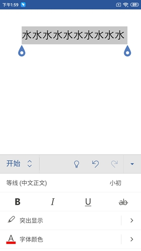 Microsoft Word6