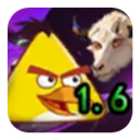 我的鸟下载 v1.63