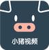 小猪免费汅版精品影视直播APP