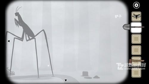 õ8
