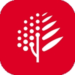 博鳌医学 V2.1.4下载
