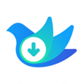 云雀idm网页视频下载器app v18.21