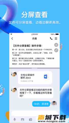 预览图3