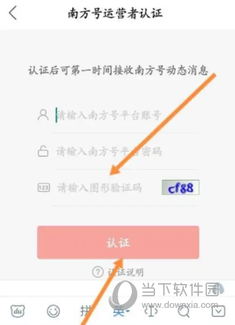 南方+