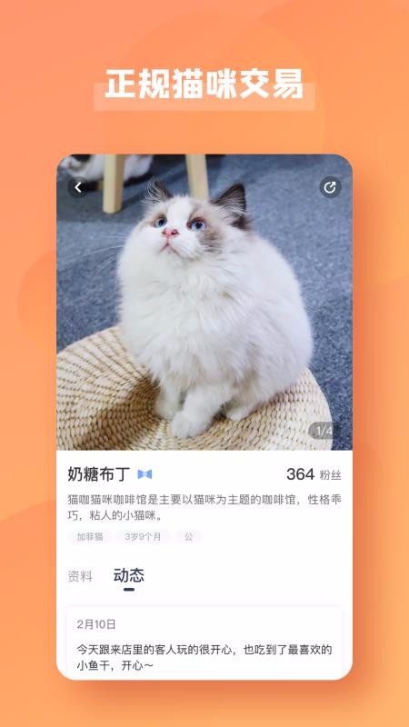宠酱APP特色