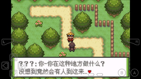 怎么玩4