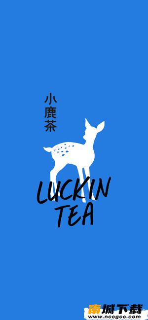 预览图2
