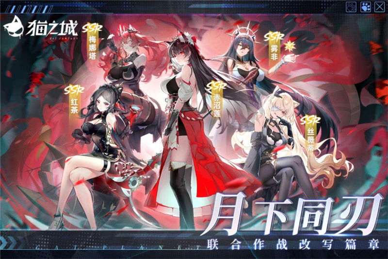 猫之城3