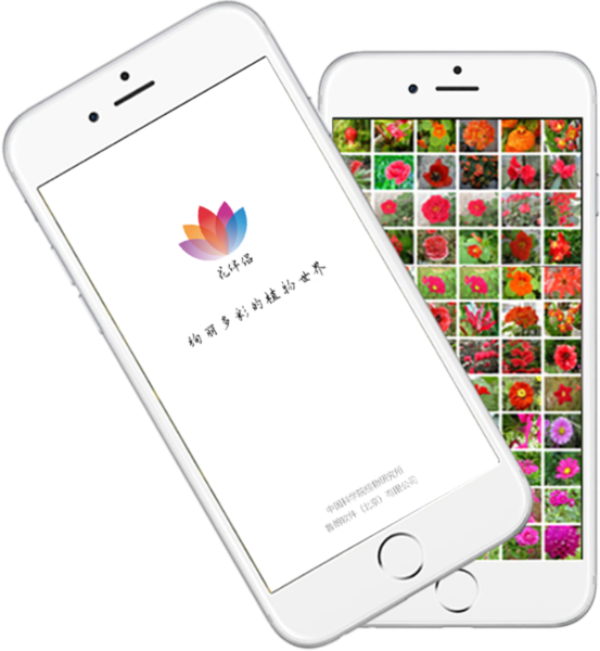 花伴侣app3