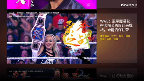 WWE大视界TV版