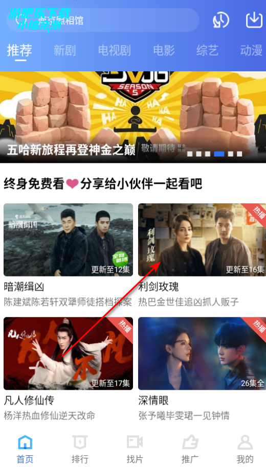 天鹅视频vip版免费版