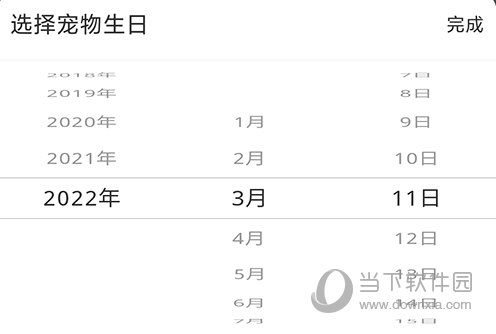 宠物家生日填写