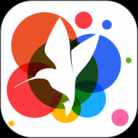 小鸟壁纸免费下载