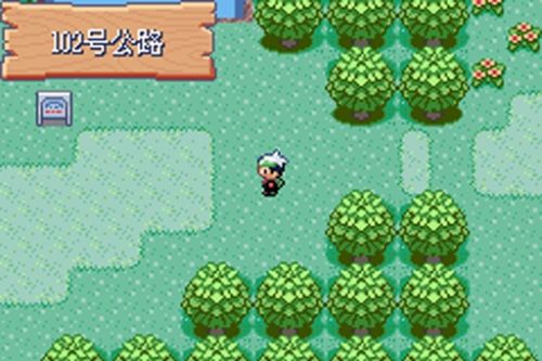 口袋妖怪究极绿宝石全随机版