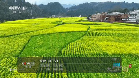 阿刚TV2024最新版