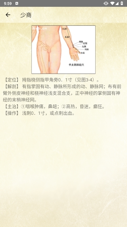 穴位按摩宝典APP截图3