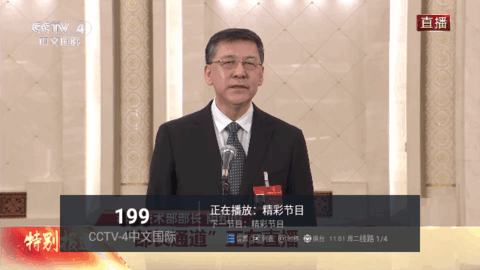 海外新视界电视版