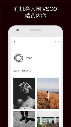 VSCO׿ƽv310