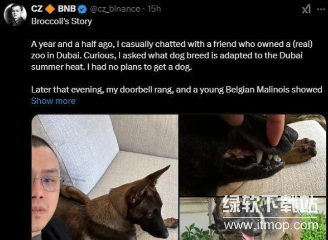 西兰花币是什么币？西兰花币简介