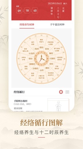 人体穴位图解移动端版下载  第3张