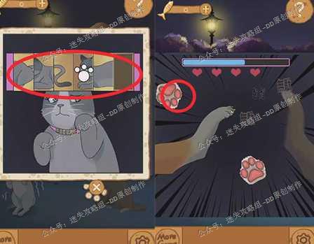 流浪的橘猫侠