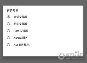 Aurora Store怎么修改安装方式
