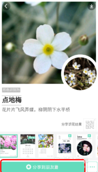 形色app2025最新版