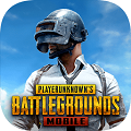 pubg国际服官服正版 V2.4.0下载