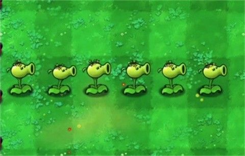 植物大战僵尸内讧版