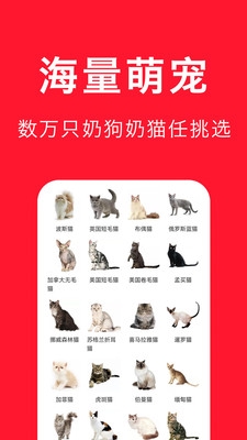 宠物宝软件宣传图1