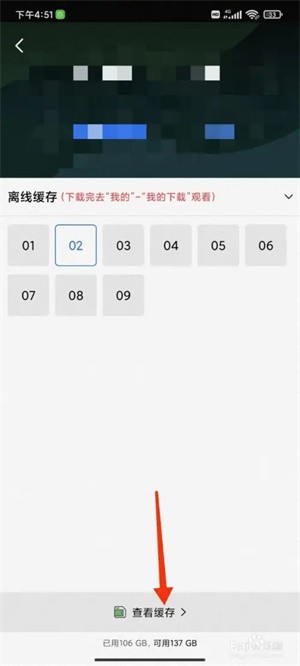 下载视频到手机截图3