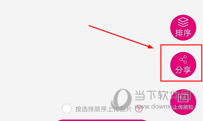 美印兔兔