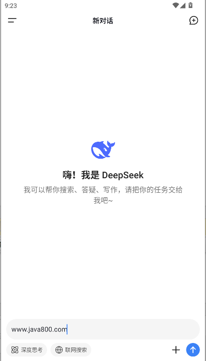 deepseekƶ