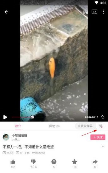哔哩哔哩图片11