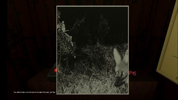 动物观察员游戏玩法3