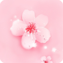 桃花直播v2.4.8